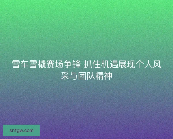 雪车雪橇赛场争锋 抓住机遇展现个人风采与团队精神 雪车雪橇赛场争锋 抓住机遇展现个人风采与团队精神