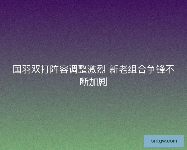 国羽双打阵容调整激烈 新老组合争锋不断加剧