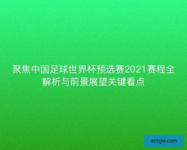 聚焦中国足球世界杯预选赛2021赛程全解析与前景展望关键看点